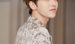 王源黑粉最新爆料事件视频,真相与谣言的较量